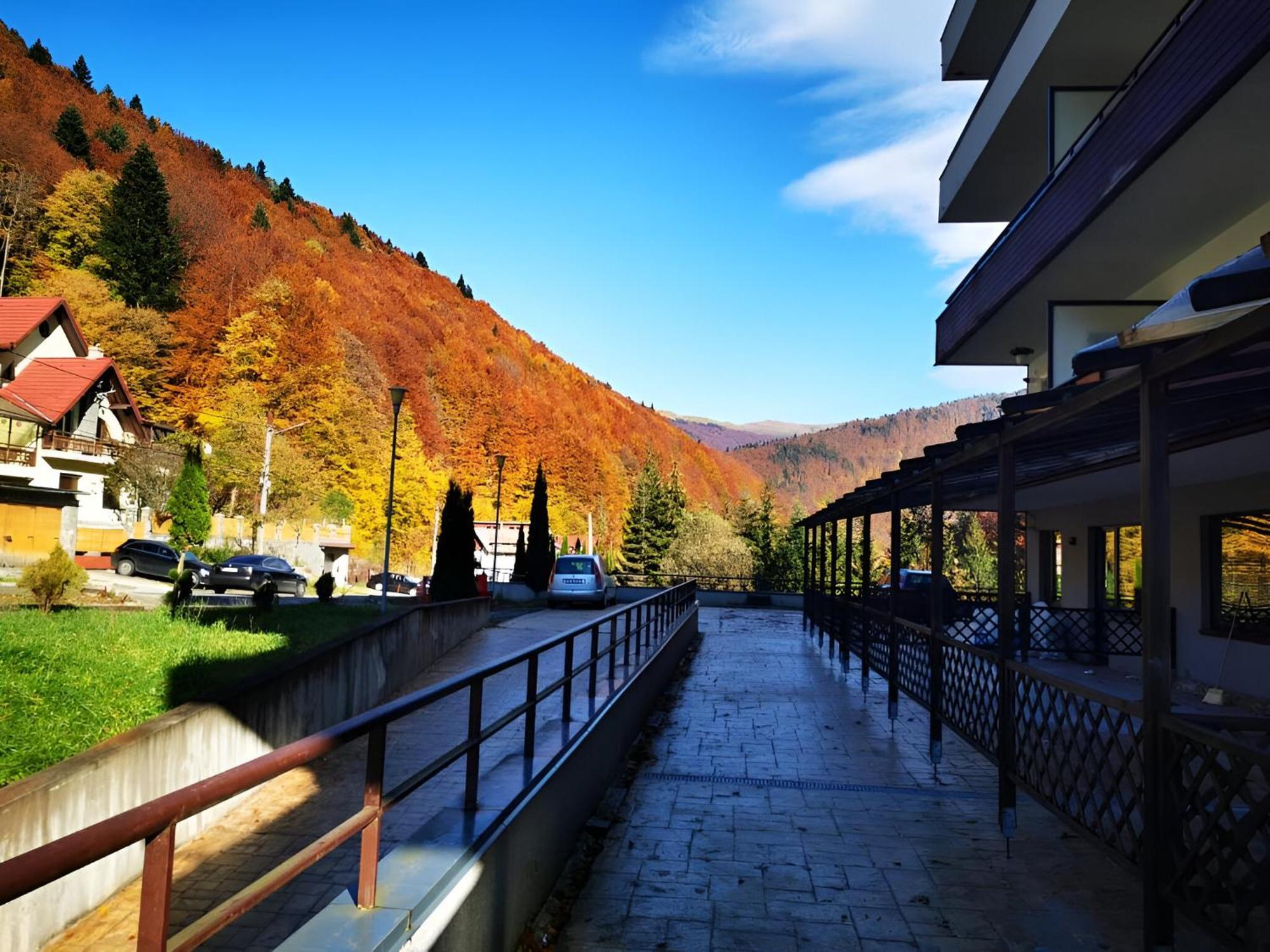 Serenity Suite Синая Екстериор снимка